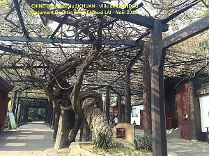 Chendgu 050